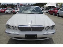 Jag lover in New Zealand-354977625.jpg