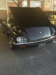 1986 Jaguar XJS Custom-bonnet-open.jpg