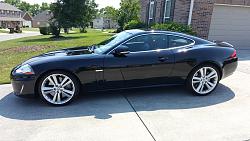 New Member from Tennessee-20150610_160449resized.jpg