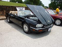 Howdy from Texas-xjs-copy.jpg