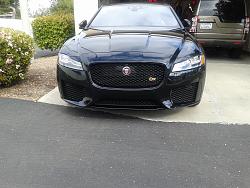 Hello from Carlsbad, CA-jaguar-2.jpg