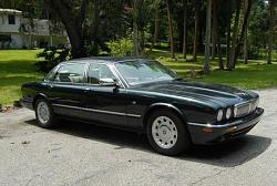 Hello from Florida-jaguar.jpg