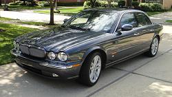 Newbie-jag1.jpg