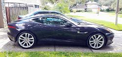 Hello from Tampa, FL!-14203479_10105292299810601_1109743620_o.jpg