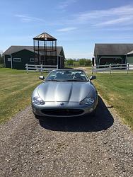 New member - Brian Devlin-xk8-painted-grille.jpg