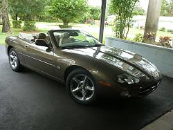 Newish Member-1.jpg