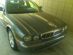 New member, young x350 owner-img_0090191.jpg