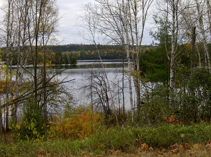 Name:  IMG-20111023-00089.jpg
Views: 17
Size:  195.6 KB
