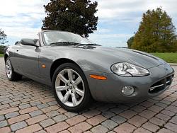 Hi!  New to the forum-a39322_12.jpg