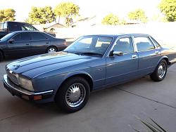Never thought I'd say that I own a jaguar-photo.jpg