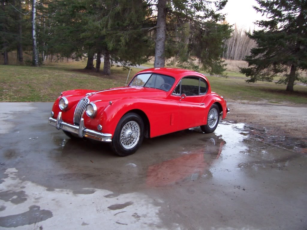 Name:  jaguar128.jpg
Views: 19
Size:  134.7 KB