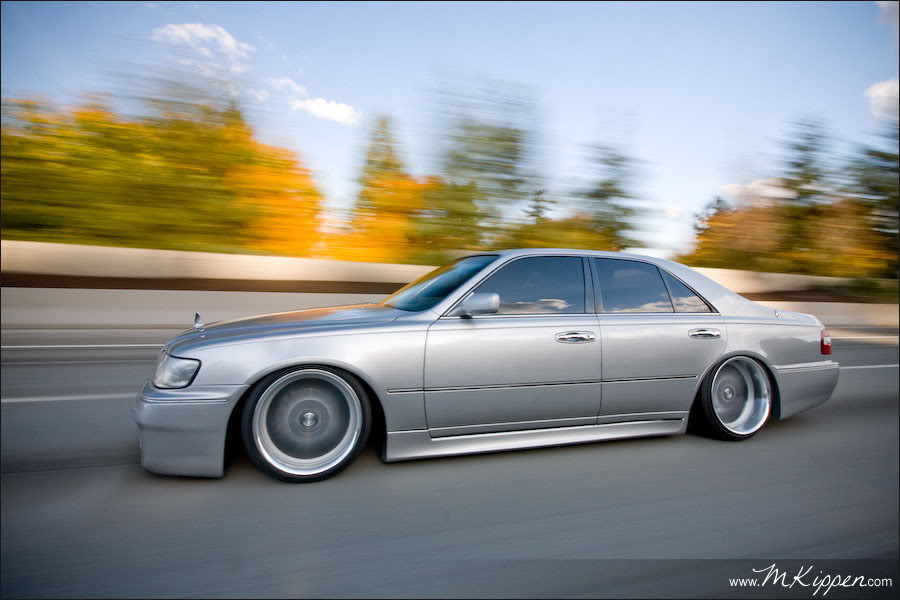 Name:  Kippen-8.jpg
Views: 79
Size:  73.1 KB
