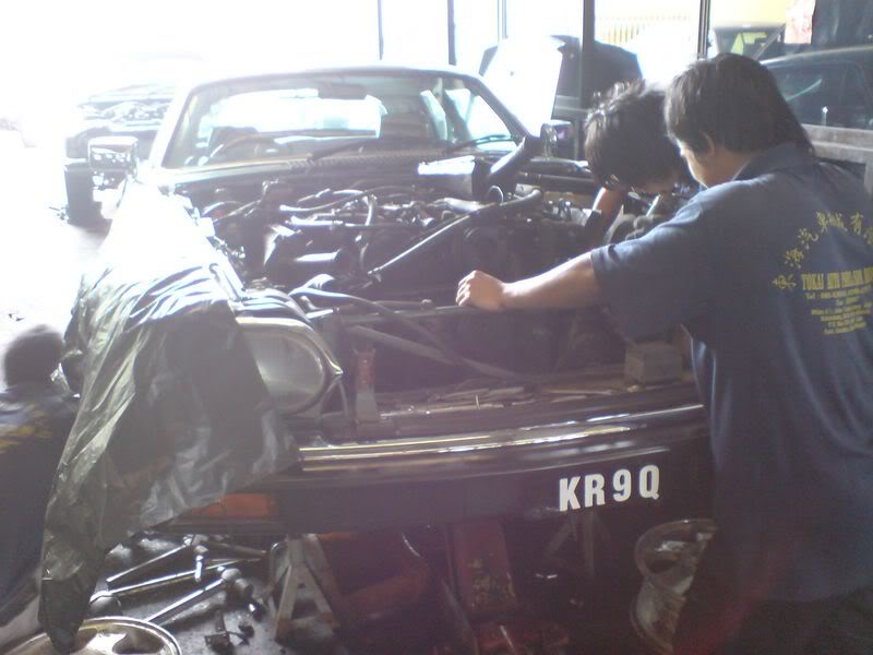 Name:  DSC00005800x600.jpg
Views: 72
Size:  52.0 KB