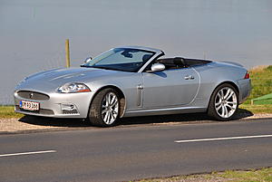 New member - maybe-dsc_4464.jpg
