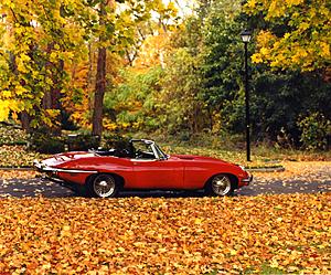 Jeff Jag-fall98-69jag002.jpg