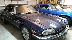 Hello from Orlando ... whats my XJS worth??-20161115_113037.jpg