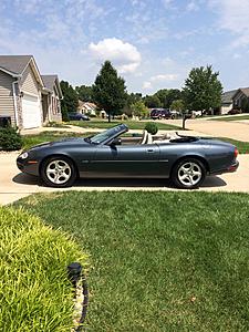 New Member and Owner-231ecd15-c508-4e04-bb3e-34efdd9da2fd.jpeg