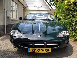 newbee-xk8-sklein.jpg