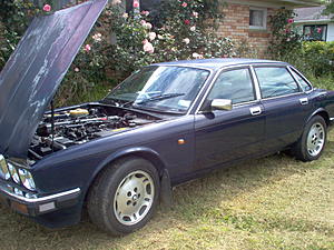 Newly joined member from New Zealand-xj6-003.jpg