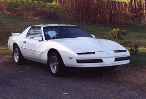 Winthrop, MA-firebird-front.bmp
