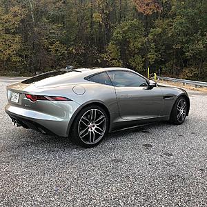 New owner from Connecticut-a6bbadc9-557b-45e1-8647-8d7d938a556e.jpeg