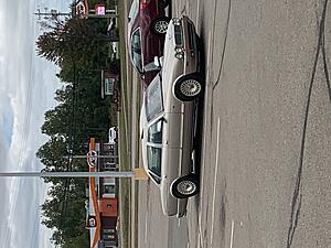 Introduction-img_5019.jpg