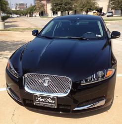 2012 in Texas-jag.jpg