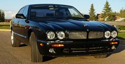 hibernating-xjr2.jpg