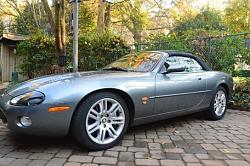 New to the fold-jag-2.jpg