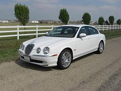 New Member-2609_1000.jpg