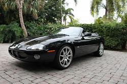 New Member from FL-img_8489-ext.jpg