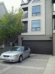 Potential new owner??-mustang.jpg