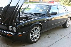 HI!!-jaguar2.jpg