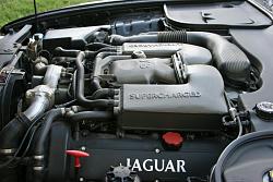 HI!!-jaguar3.jpg