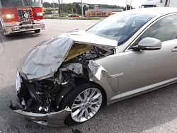 New to the Jaguar Family-file-17.jpg