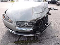 New to the Jaguar Family-file-15.jpg