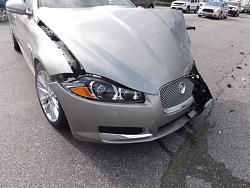 New to the Jaguar Family-file-14.jpg