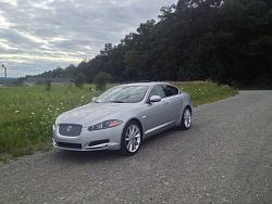 New to the Jaguar Family-file-1.jpg