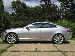 New to the Jaguar Family-a42ef0ff-cfea-4e40-a0c7-9f1dd5bc3c48-7296-00000591e5305d40.jpg