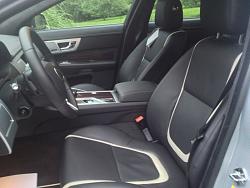 New to the Jaguar Family-a4891760-d67c-45f0-bd23-2a9752ed8bfe-7296-00000590fe8af4c7.jpg