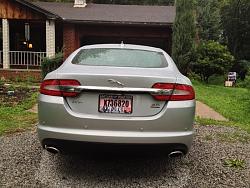 New to the Jaguar Family-83cfba9f-0d6f-489c-aa25-5d16c74dc1c6-7296-0000059083703abf.jpg
