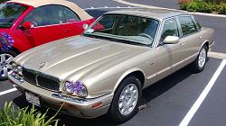 new xj8 owner says hi-2z86ts7.jpg