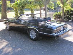 A Newbie just parked-img_0699.jpg
