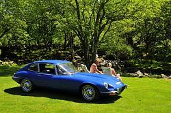 new to the forum-jag2.jpg
