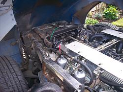 new to the forum-camera-pictures-055.jpg