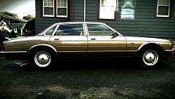 My First Jag-imag0068_1.jpg