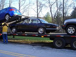New Member New Mexico-black-jag.jpg