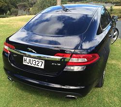 New Kiwi Member-xf-1.jpg