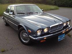 New to the forum-01.jpg