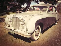 Saloon Lover-jag.jpg